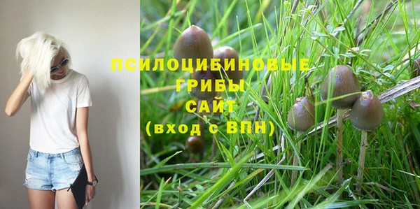 ГАЛЛЮЦИНОГЕННЫЕ ГРИБЫ Богородск