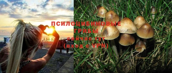 ГАЛЛЮЦИНОГЕННЫЕ ГРИБЫ Богородск