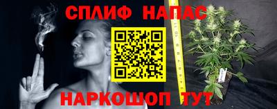 стаф Ирбит