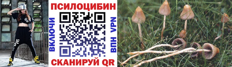 Галлюциногенные грибы Cubensis  Кушва 