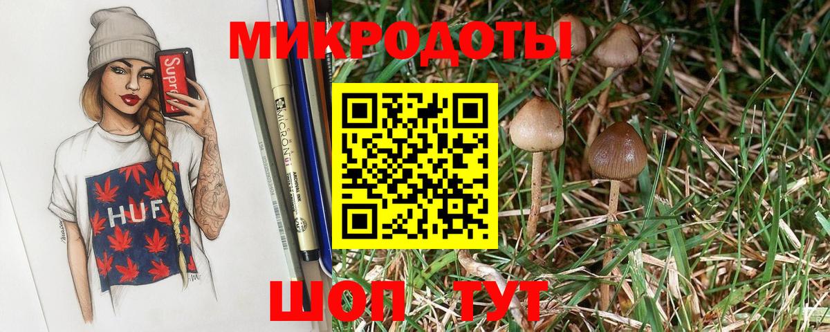 Псилоцибиновые грибы Psilocybe Кушва
