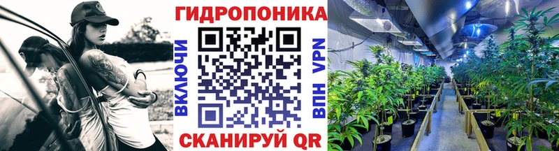 МАРИХУАНА конопля  Кушва 